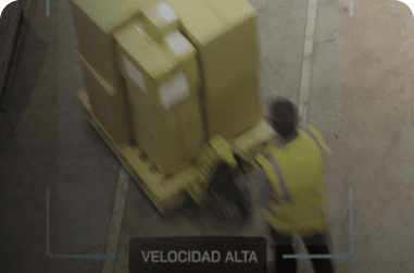 Datos Demográficos
